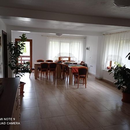 Pensiunea Valea Toplitei Rosia Extérieur photo
